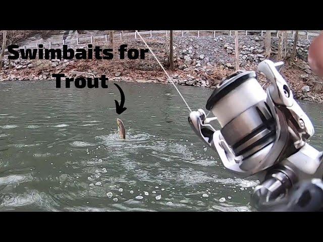 TROUT FISHING with SWIMBAITS