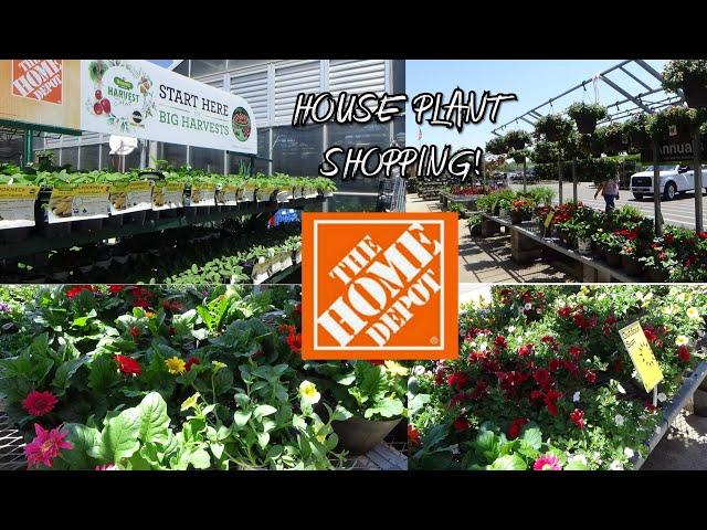 THE HOME DEPOT INDOOR AND OUTDOOR  PLANTS *BIG BOX STORE SHOPPING