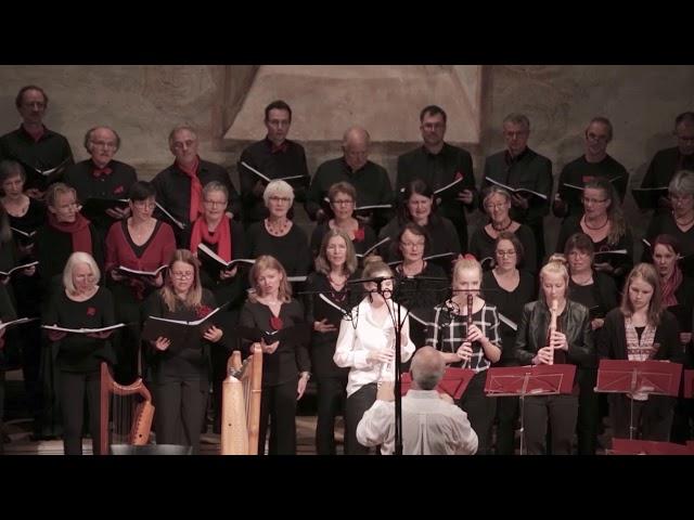 Albrecht Haaf mit dem Kammerchor Müllheim -  Gaudete