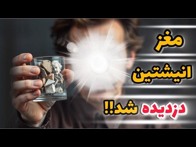 چرا مغز آلبرت انیشتن چند ساعت بعد از مرگش دزدیده شد؟مغز انیشتین چه تفاوتی با مغز ما داشت؟