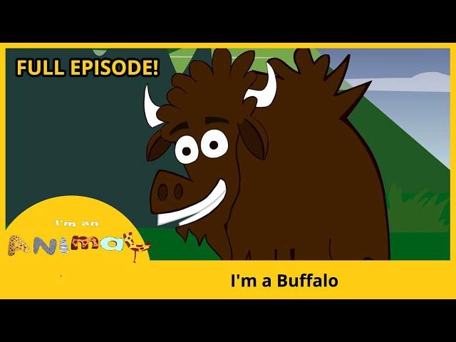  I'm a Buffalo | I'M AN ANIMAL