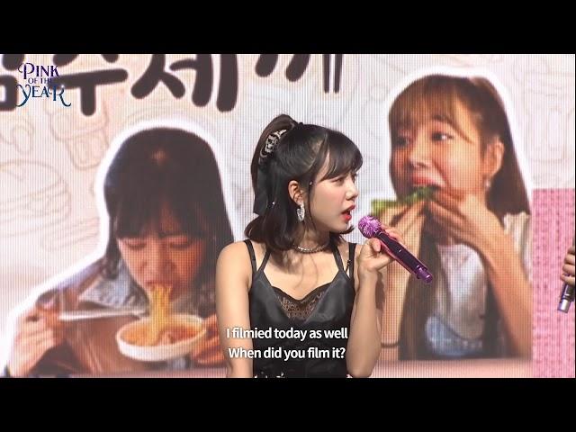 Apink - PINK OF THE YEAR [talking about Namjoo's YT channel]