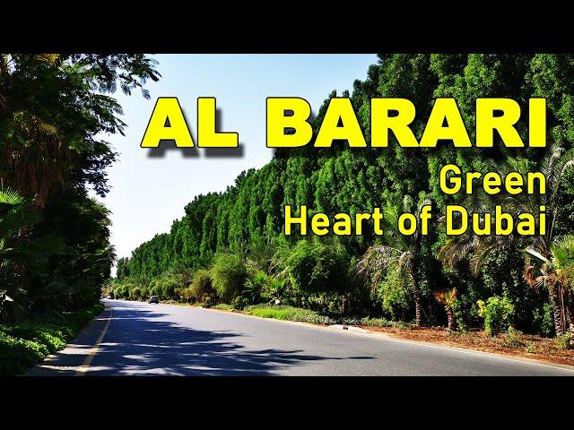 Al Barari  Dubai's greenest place | the green forest | The Farm Restaurant