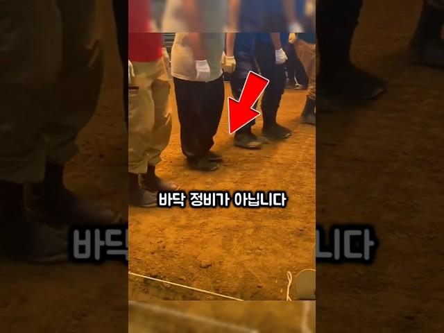 일본인들이 '3일동안' 바닥을 두들기는 진짜 이유
