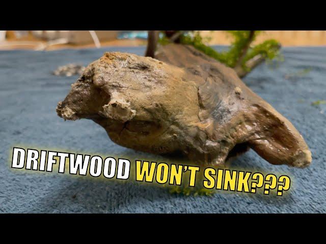 How To Make Stubborn Driftwood Sink In Fish Tank (MY TAKE)