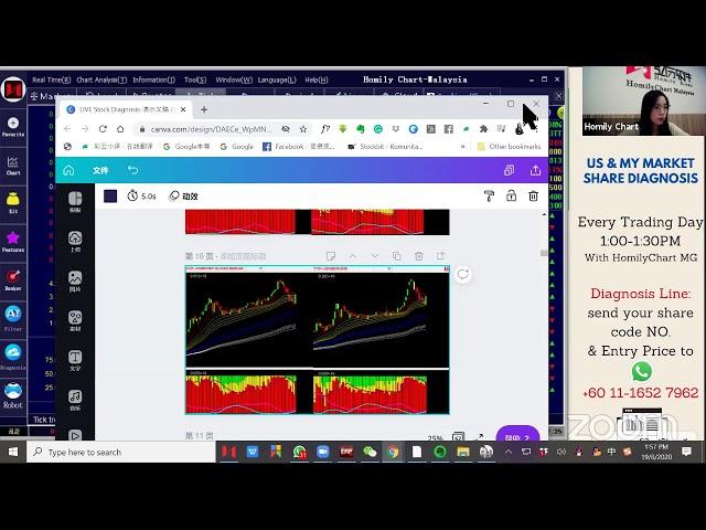 【Glove Shares Open High and Go Low, can still Hold ?】| Homily MG Live Stock Diagnosis 2020-08-19 Wed