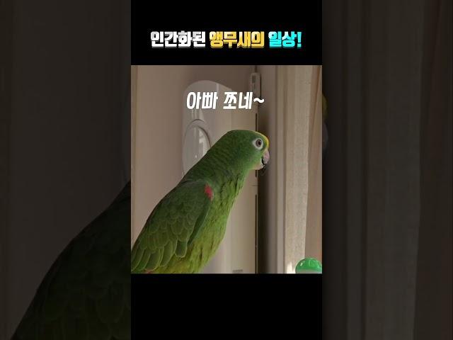 아빠~~그.... 별이의 속마음!!