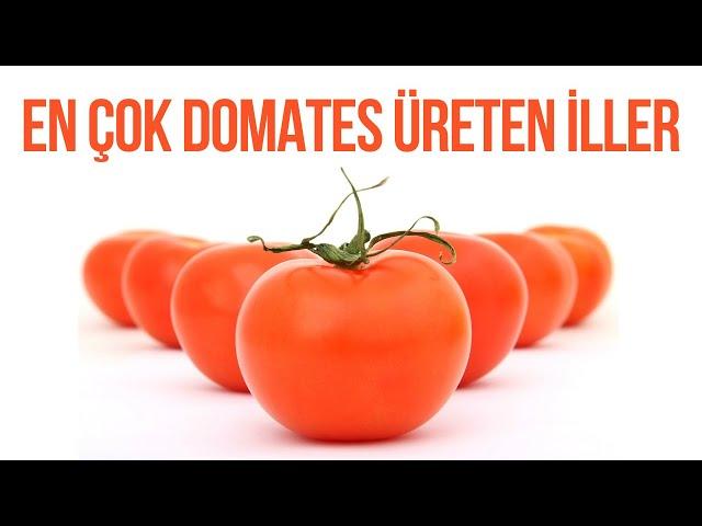 En Çok Domates Üreten İl Hangisi? - Türkiye'de En Çok Domates Üreten 10 İl - Domates İstatistikleri