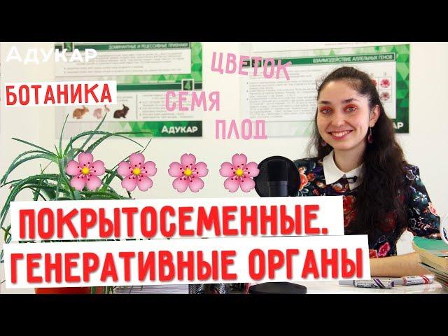 Покрытосеменные. Генеративные органы растений. Цветок, семя, плод | Биология ЦТ, ЕГЭ