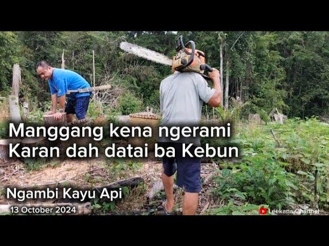 Sesco sudah disambung dekat Kebun