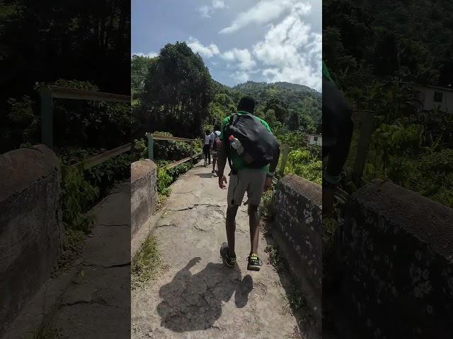 Real Jamaican Greeting #jamaica #travel #tourism #hiking #river #health #freshair #shorts