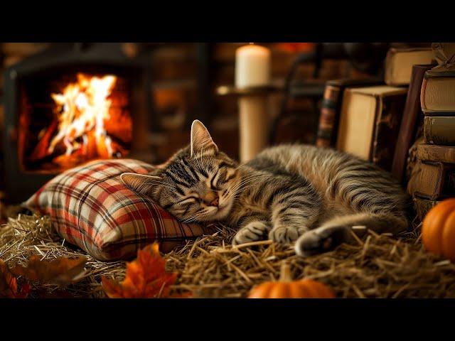 Cozy Cottage: Purring Cat and Fireplace ASMR for Perfect Sleep, Ultimate Relaxation