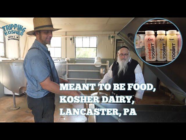 Tripping Kosher: Hasidic Jews Make Kosher Cheese in Amish Country