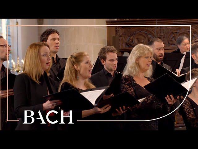 Bach - Motet Komm, Jesu, komm... BWV 229 - MacLeod | Netherlands Bach Society