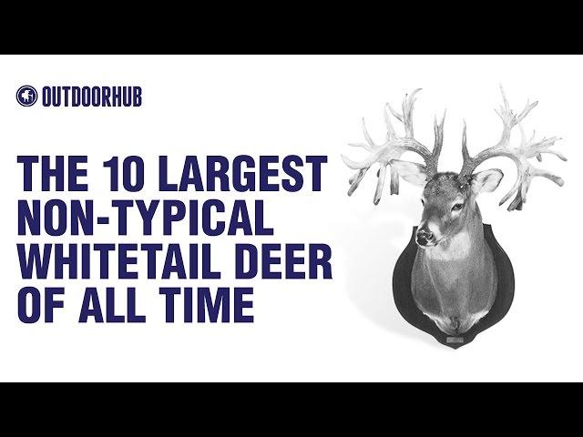 The 10 Largest Non-Typical Whitetail Deer of All Time