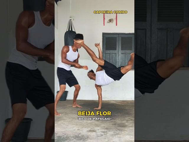 CAPOEIRA COMBO #martialarts #artesmarciais #mma #capoeira #muaythai #bjj #karate #lutadores