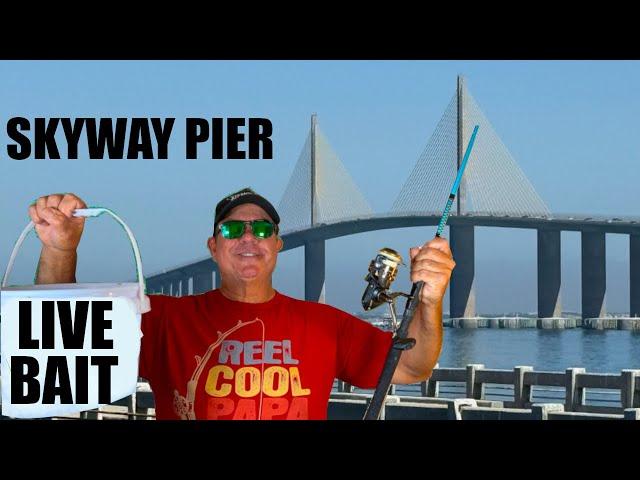 Eating What I Catch Skyway Fishing Pier Truck Camping Adventure