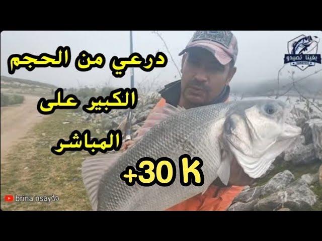 صيد سمك درعي ضخم على المباشر مع الرايس عبدالاه  fishing marocمعلومة مهمة عن الطعم المغرب jewfish