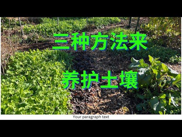 三种土壤养护的方法（three ways to improve soil quality）