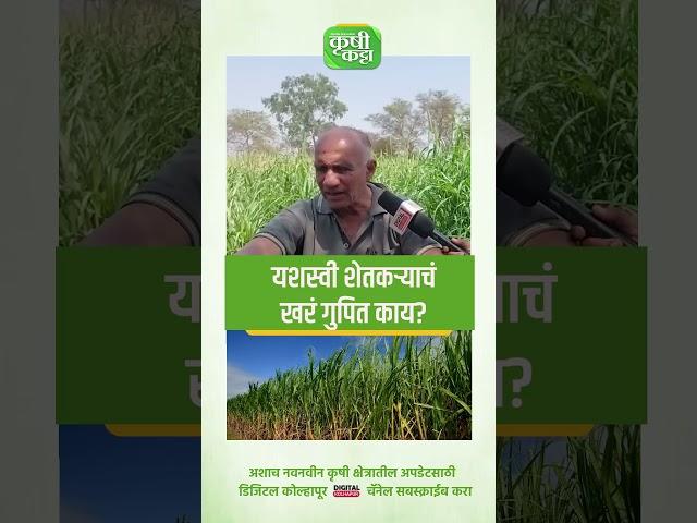 यशस्वी शेतकऱ्यांच खरं गुपित