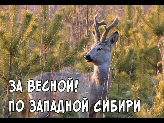 За Весной! По Западной Сибири.