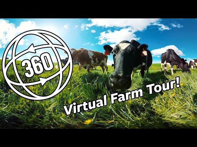 Virtual 360° Farm Tour | Organic Valley 360°