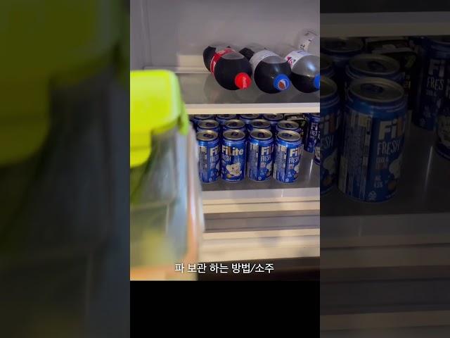 파 진짜 오랫동안 보관 하는 방법/소주