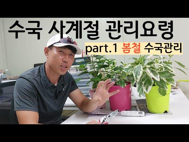 수국 계절별 관리 핵심포인트(1편 봄 관리요령)