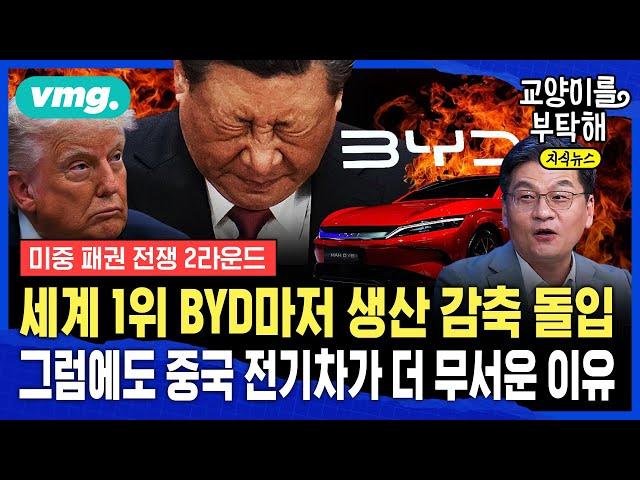 [지식뉴스] "62조 빚 폭탄설" 진짜 BYD 망하나...그럼에도 중국이 '광물'로 전 세계 시장 장악하는 법 (ft.최준영 법무법인 율촌) / 교양이를 부탁해 / 비디오머그