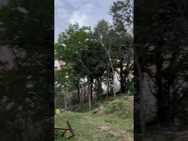 Идем домой после Большой Будды