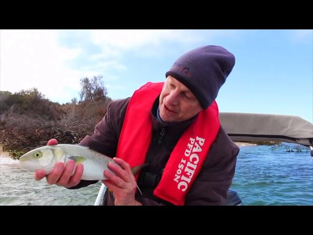 Kamikaze Catch and Cook: Salmon South Gippsland Part 1