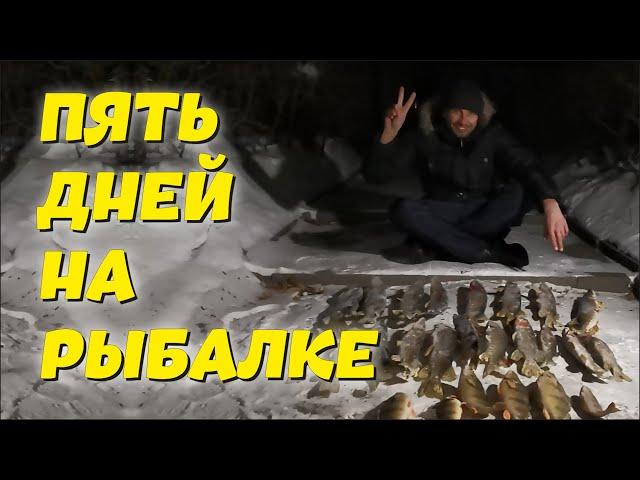 Пять дней на Рыбалке в Боровом - РЫБА ЕСТЬ