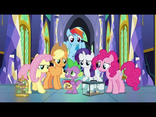 My Little Pony | Сезон 9 | Серия 26 | «Дружба — это чудо» #mlp