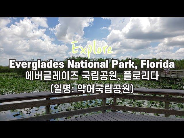 Explore Anhingha Trail in Everglades National Park // 미국 플로리다 마이애미 에버글레이즈 (악어)국립공원 탐방기