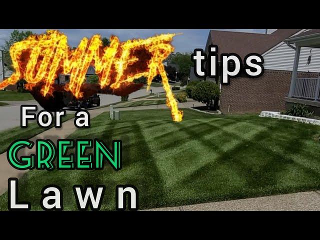 Summer tips for a green lawn