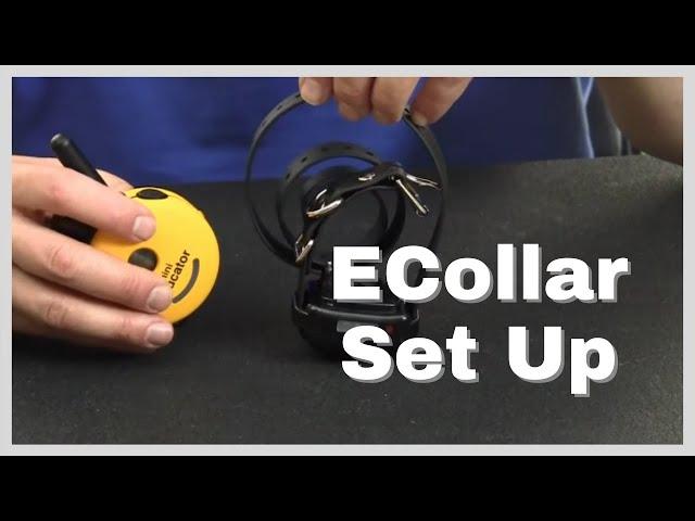 How to Set Up the Ecollar- Remote Collar Set Up