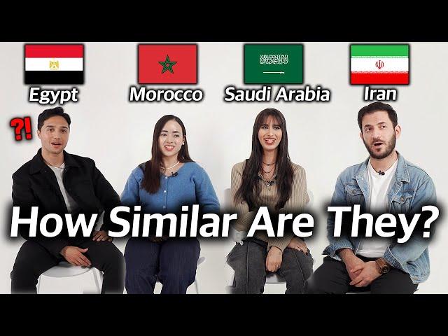 Can Middle Eastern Countries Understand Each Other? (Iran, Morrocco, Saudi Arabia, Egypt)