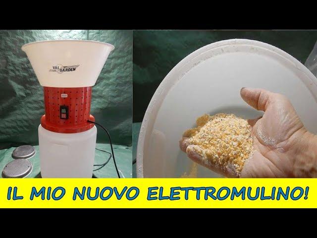 Fai da Te il Mangime per le Galline con l'Elettromulino per Cereali - Solo per Uso Zootecnico