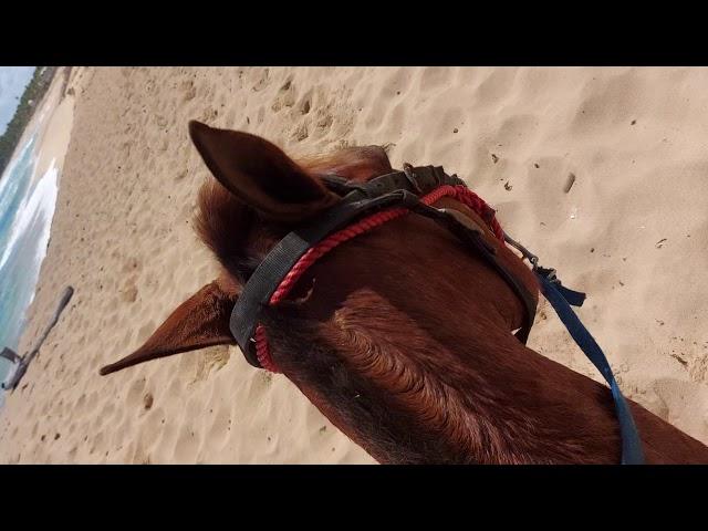 Rancho Caribeño Uvero Alto Punta Cana