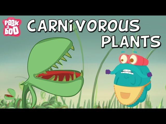 Carnivorous Plants | The Dr. Binocs Show | Educational Videos For Kids