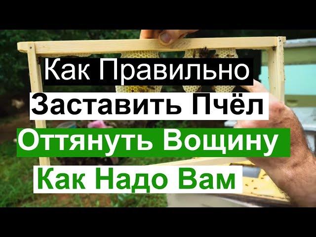 Пасека#89 Как Правильно Заставить Пчёл, Оттянуть Вощину Как надо вам Пчеловодство для начинающих