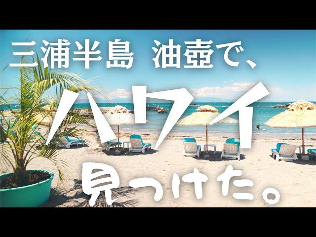 【綺麗な海】三浦半島 油壺で、ハワイ見つけた。【湘南移住暮らし/犬とキャンピングカー/キャバリア】