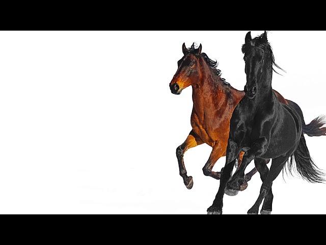 Lil Nas X - Old Town Road (feat. Billy Ray Cyrus) [Remix]