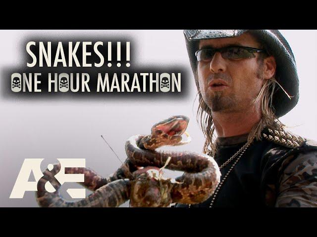 Billy the Exterminator: SNAKES!!! One-Hour Compilation | A&E