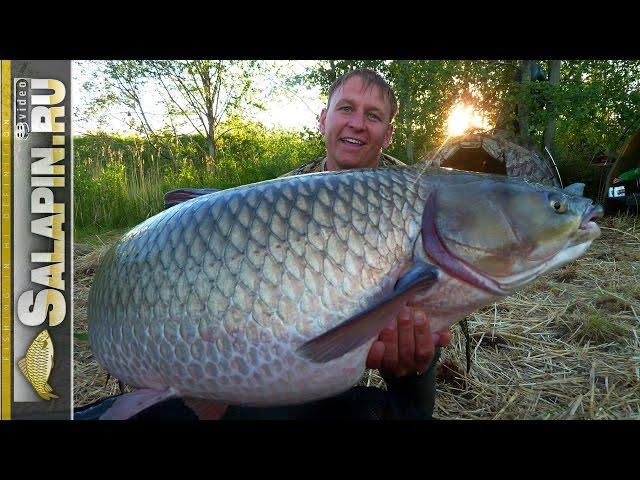 Amur Fishing - Biggest Trophy 30 kg [salapinru]