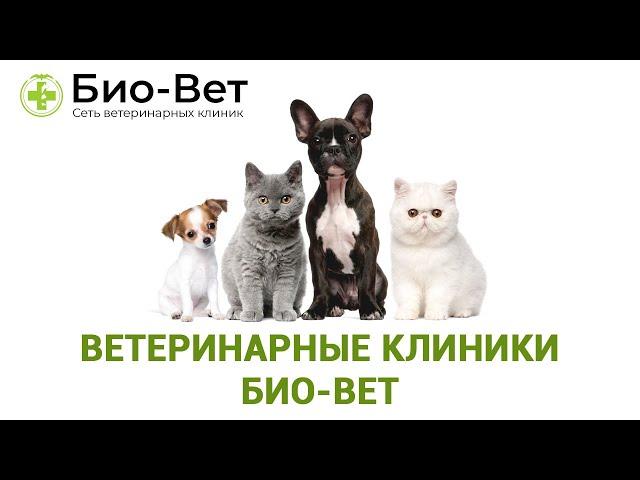 Ветеринарные клиники Био-Вет