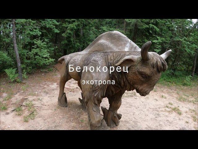 Инклюзивная экотропа "Белокорец". Беларусь.