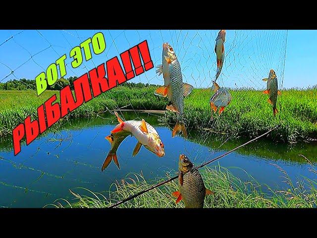 РЫБА УТАЩИЛА МОЙ ЭКРАН!!! Удачная рыбалка на экраны.