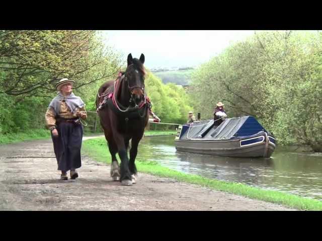 Canal boat horses - Bingley Five Rise