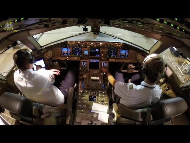 B777F ULTIMATE COCKPIT MOVIE: Lufthansa Cargo Captain Rikard delivers two pregnant horses [AirClips]